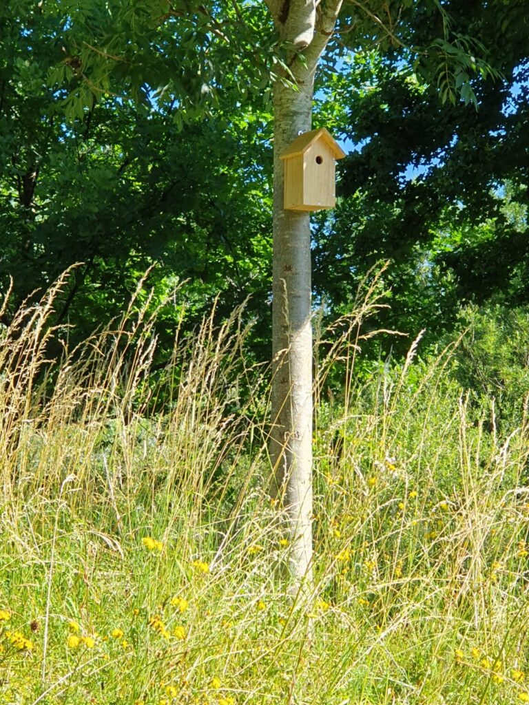 An einem Baum hängt ein Vogelnistkasten